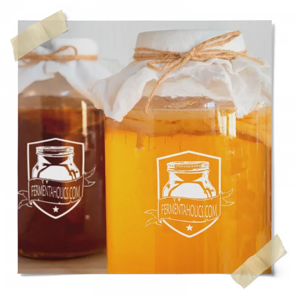How To Make Kombucha