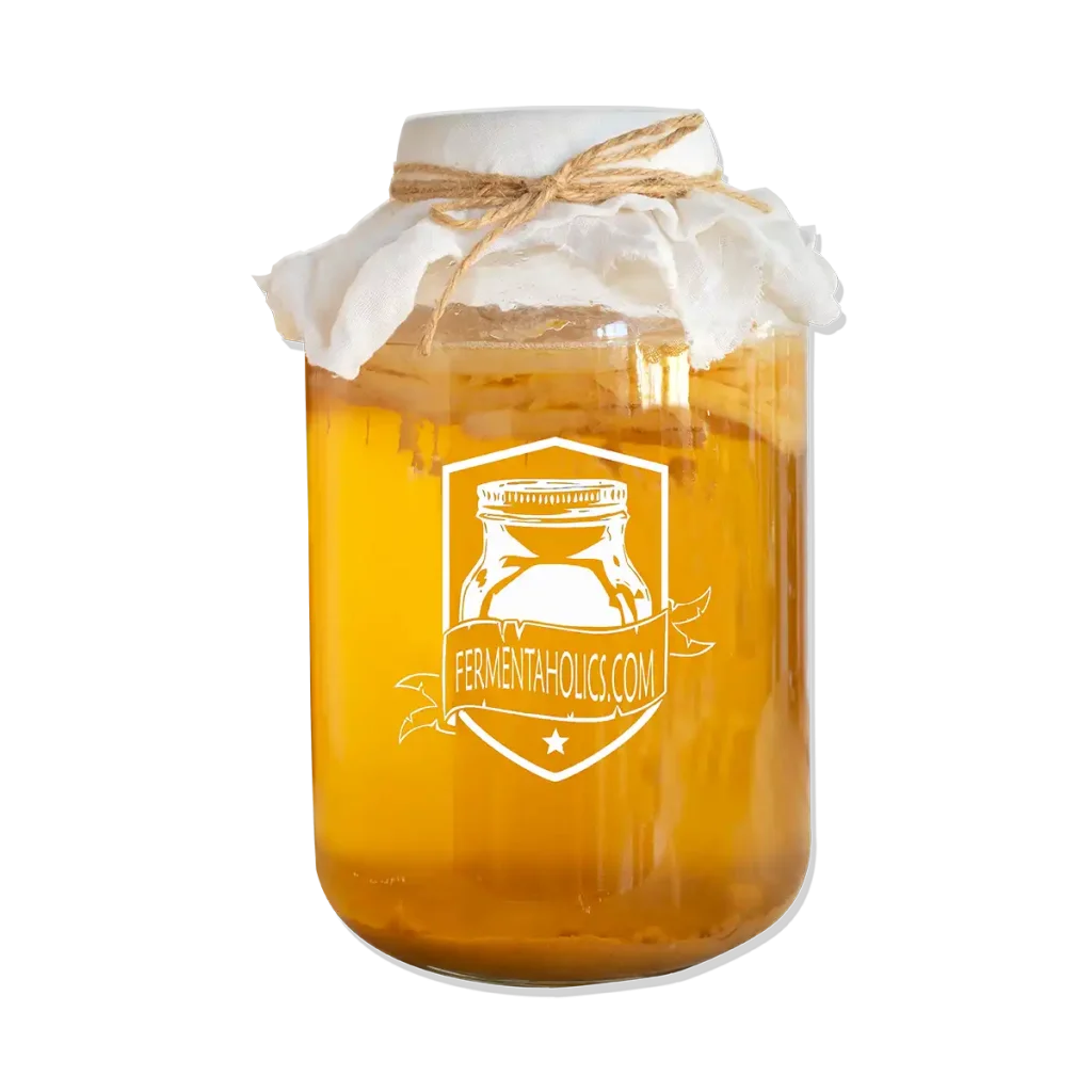 kombucha primary fermentation recipes