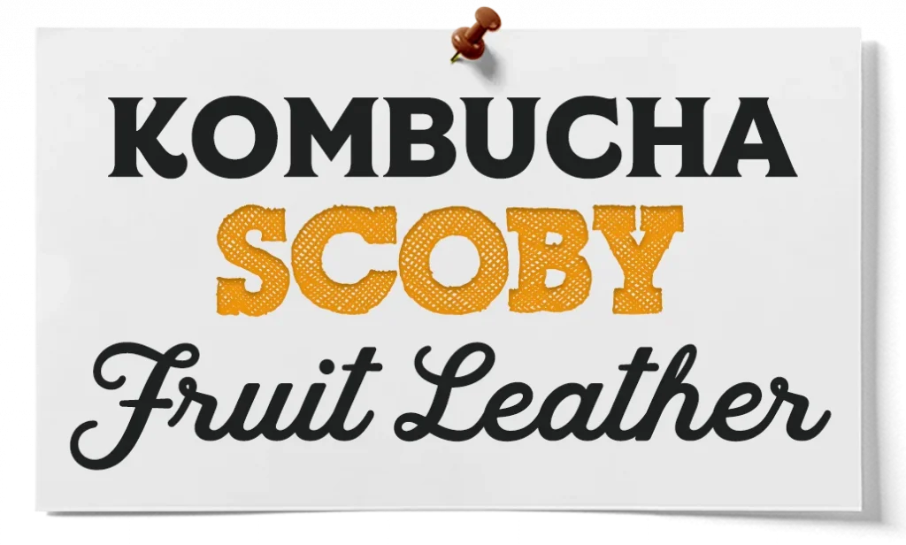 Kombucha Scoby Fruit Leather