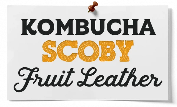 Kombucha Scoby Fruit Leather