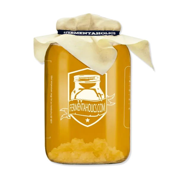 Water Kefir Primary Fermentation