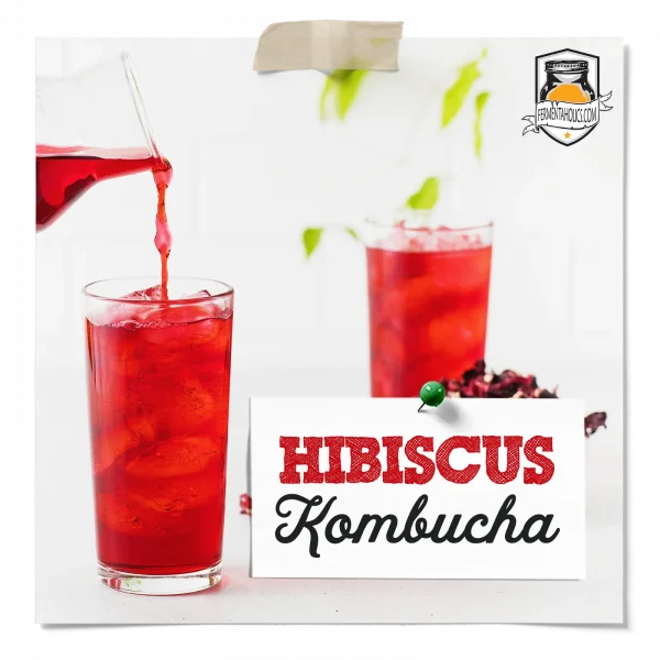 Hibiscus Kombucha Recipe