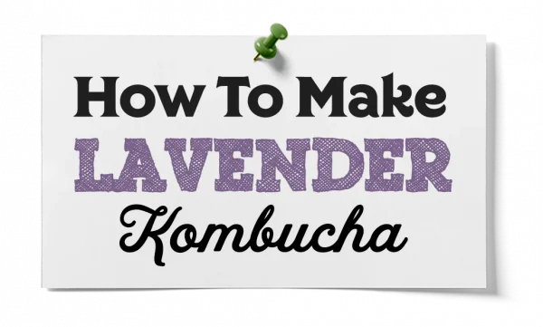 How To Make Lavender Kombucha