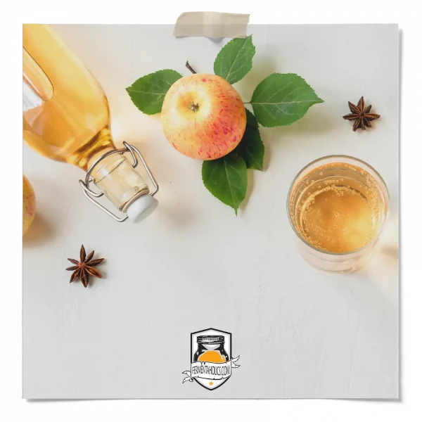 Apple Spice Kombucha
