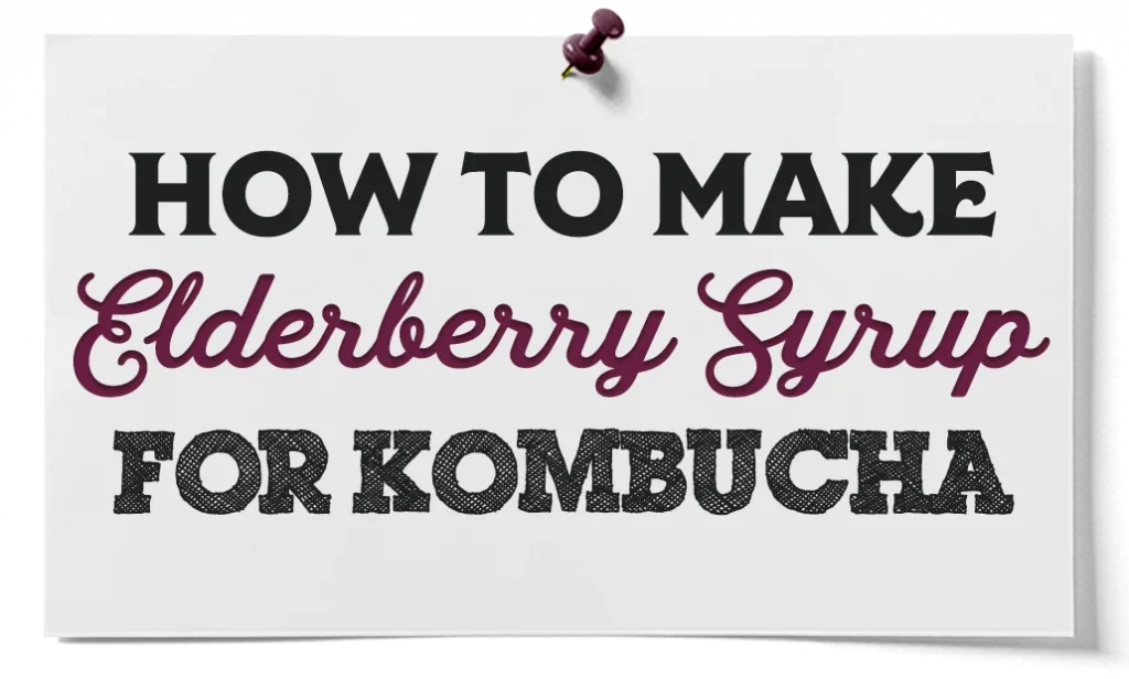 how to make elderberry syrup for kombucha