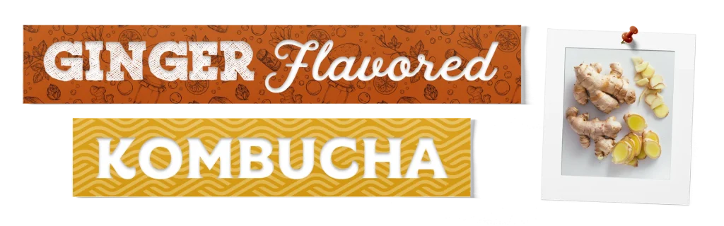 Ginger Flavored Kombucha Ii