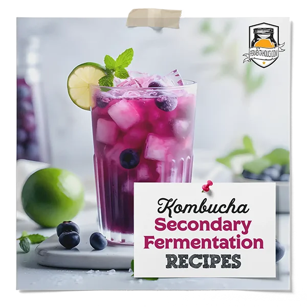 Kombucha Secondary Fermentation Recipes