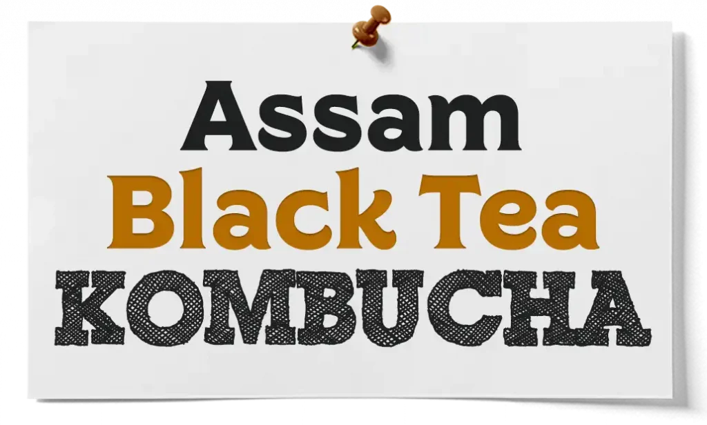 how to make assam black tea kombucha