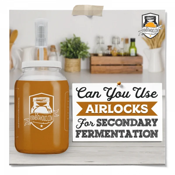Can You Use Airlocks For Secondary Fermentation