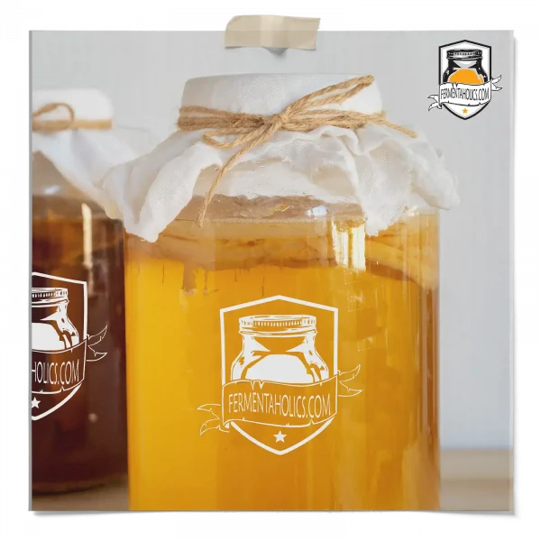 Green Tea Kombucha
