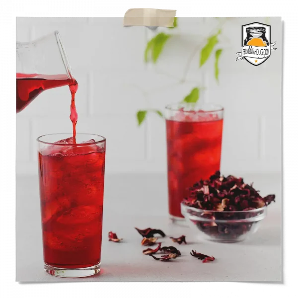 Hibiscus Kombucha