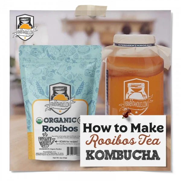 Rooibos Tea Kombucha