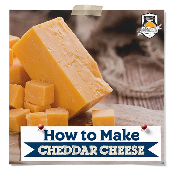 How To Make Cheddar Cheese - Recipe