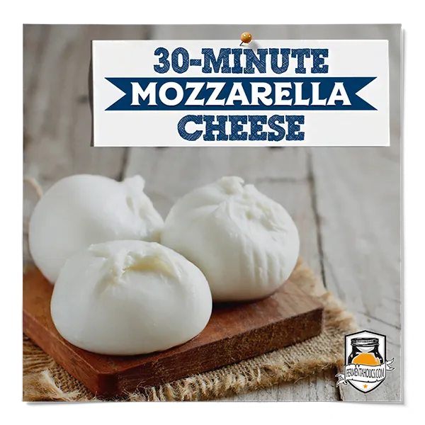 How To Make Mozzarella Cheese