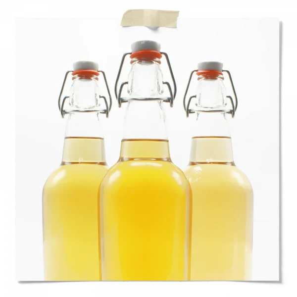 Kombucha Still Bottles