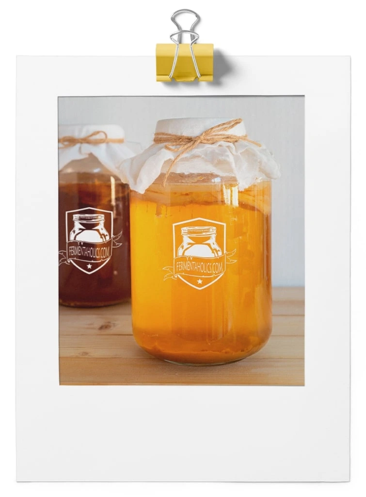 Kombucha 755X1024 1
