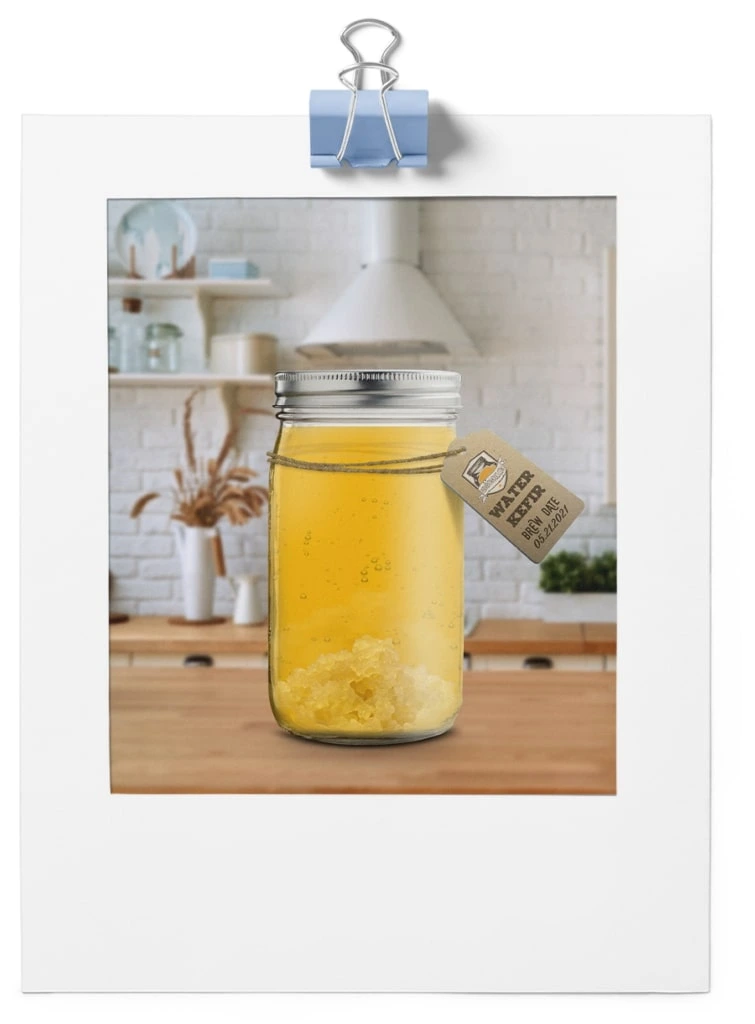 Waterkefir 755X1024 1