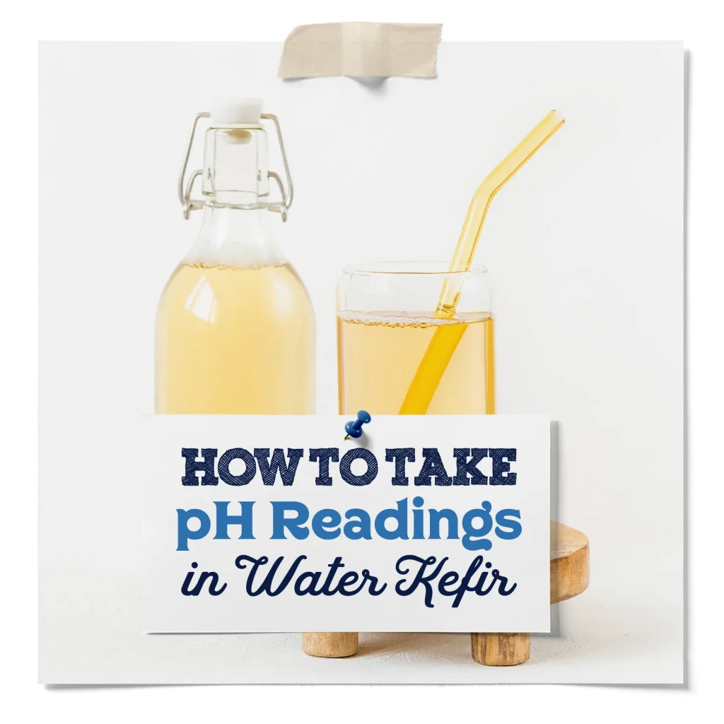 How To Take Ph Readings In Water Kefir