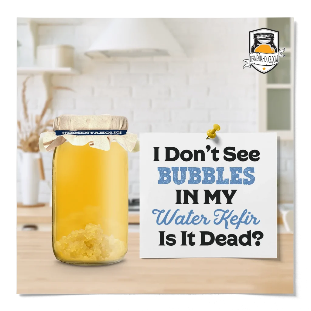 I Don’t See Bubbles In My Water Kefir, Is It Dead?