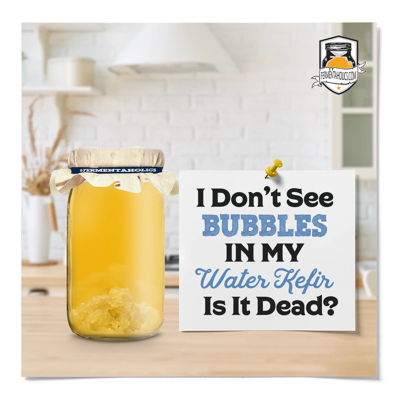 I Don'T See Bubbles In My Water Kefir, Is It Dead?