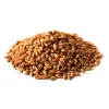 Briess 2 Row Caramel 20L Malt