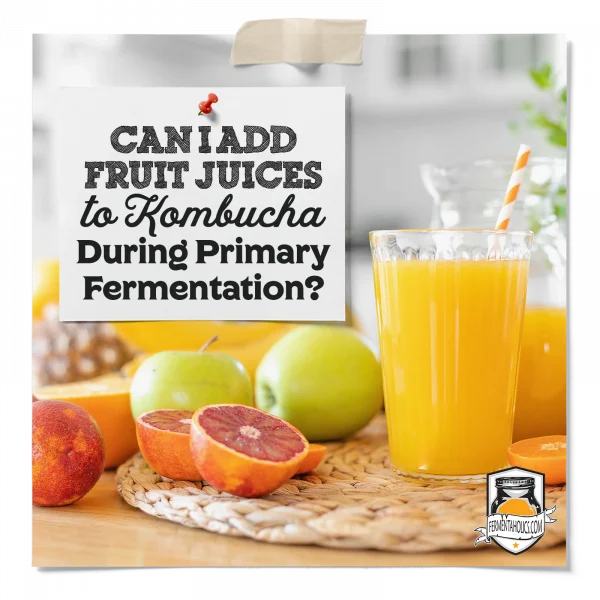 Can I Add Fruit Juices To Kombucha During Primary Fermentation