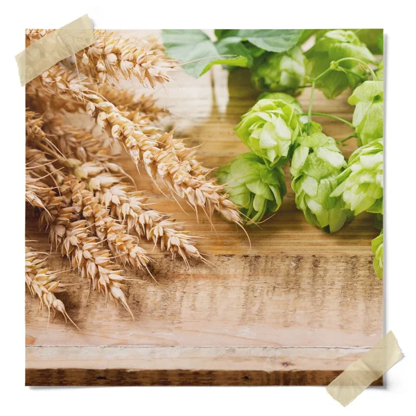Perle Hop Pellets
