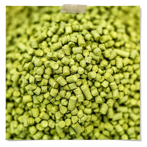 Perle Hops