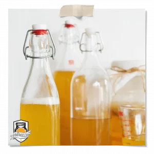 Storing Your Kombucha Starter Culture