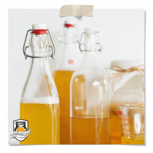 Storing Your Kombucha Starter Culture