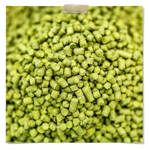 Magnum Hops Flavor