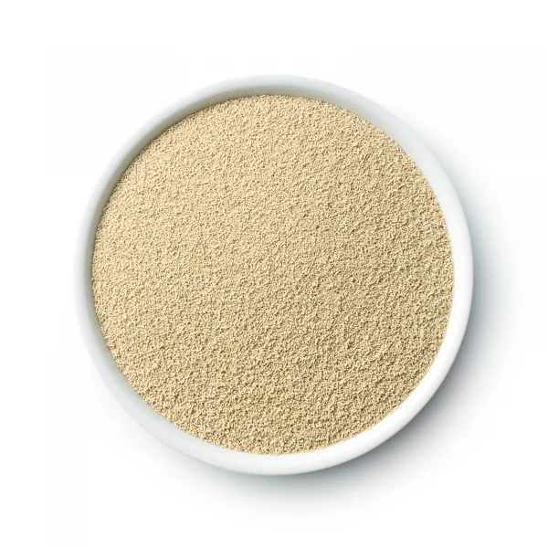 Dry Ale Yeast Safale S 04