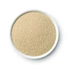 Yeast Safale Wb-06