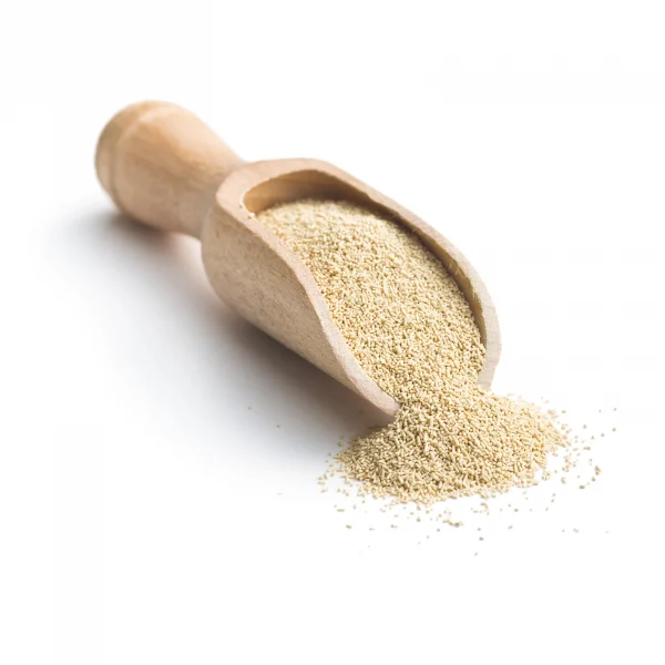 Dry English Ale Yeast