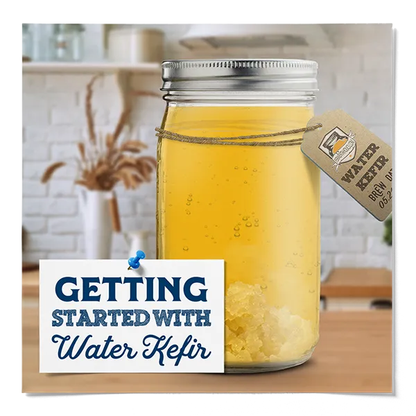 Fermentaholics Water Kefir All You Need To Know