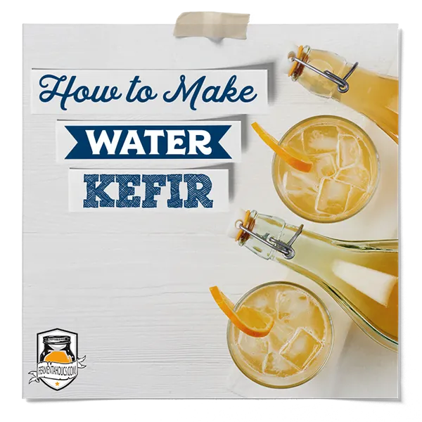 How To Make Water Kefir