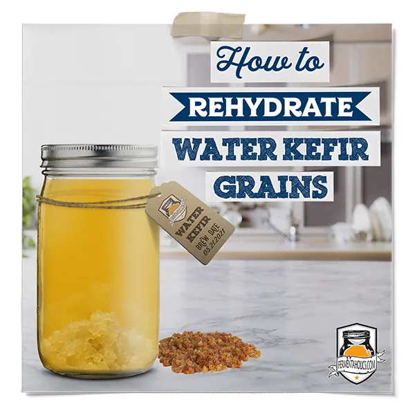 How To Rehydrate Water Kefir Grains