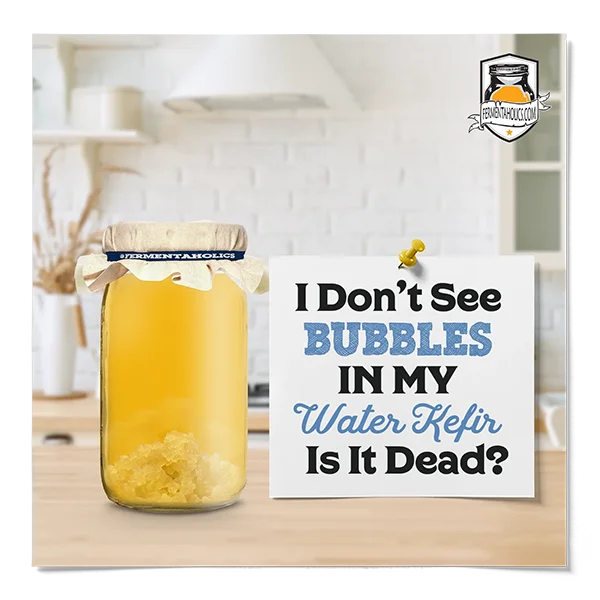 I Don'T See Bubbles In My Water Kefir, Is It Dead