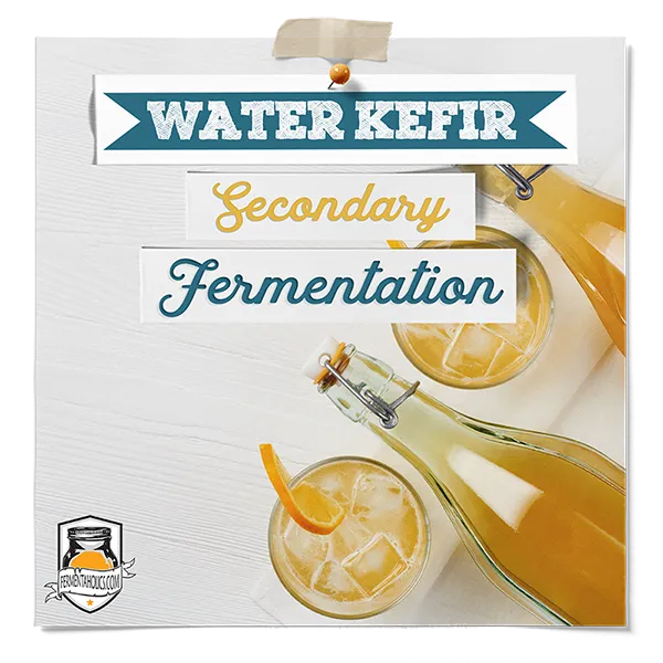 Water Kefir Secondary Fermentation