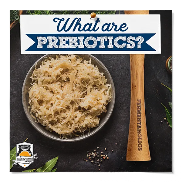 What Are Prebiotics