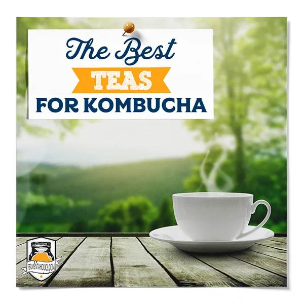 Best Teas For Kombucha