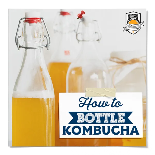 How To Bottle Your Kombucha