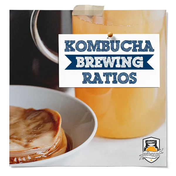 Kombucha Brewing Ratios