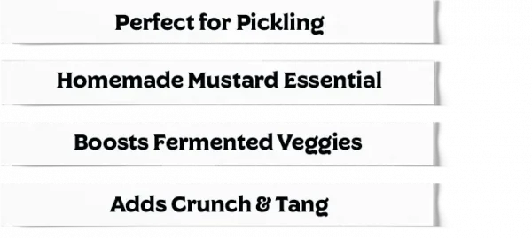 Yellow Mustard Seeds Near Me