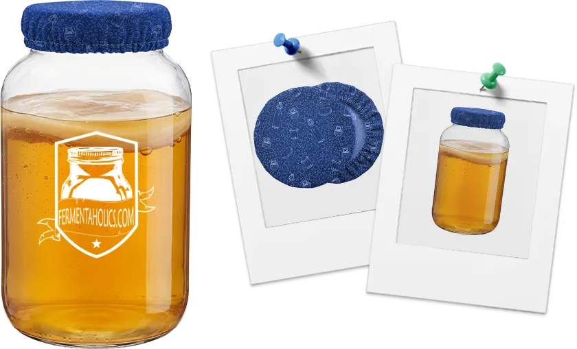 Blue Gallon Jar Cover