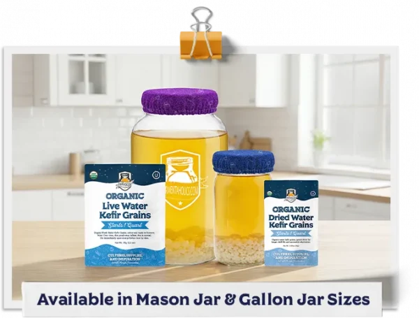 Fermentation Jar Covers
