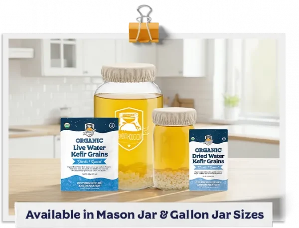Reusable Mason Jar Cover