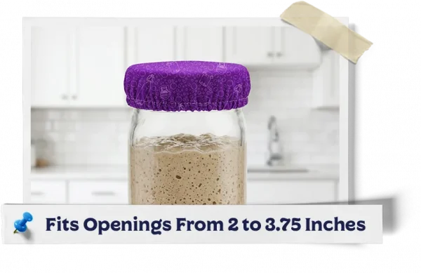 Purple Kombucha Jar Cover