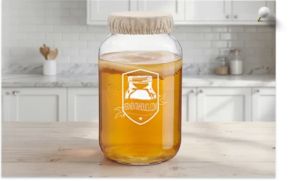 Gallon Jar Cover