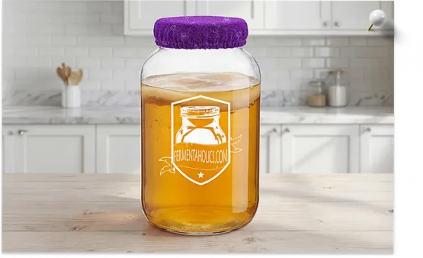 Purple Kombucha Jar Covers